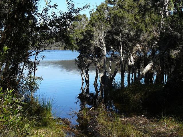 20080722 - Bream Fishing 4